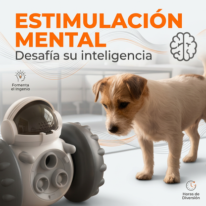 Robot Interactivo Premios